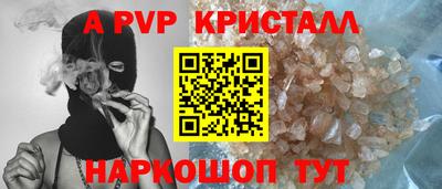 спиды Кингисепп
