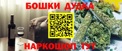 спиды Кингисепп