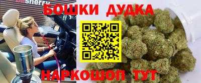 спиды Кингисепп
