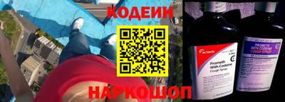 спиды Кингисепп