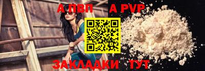 спиды Кингисепп