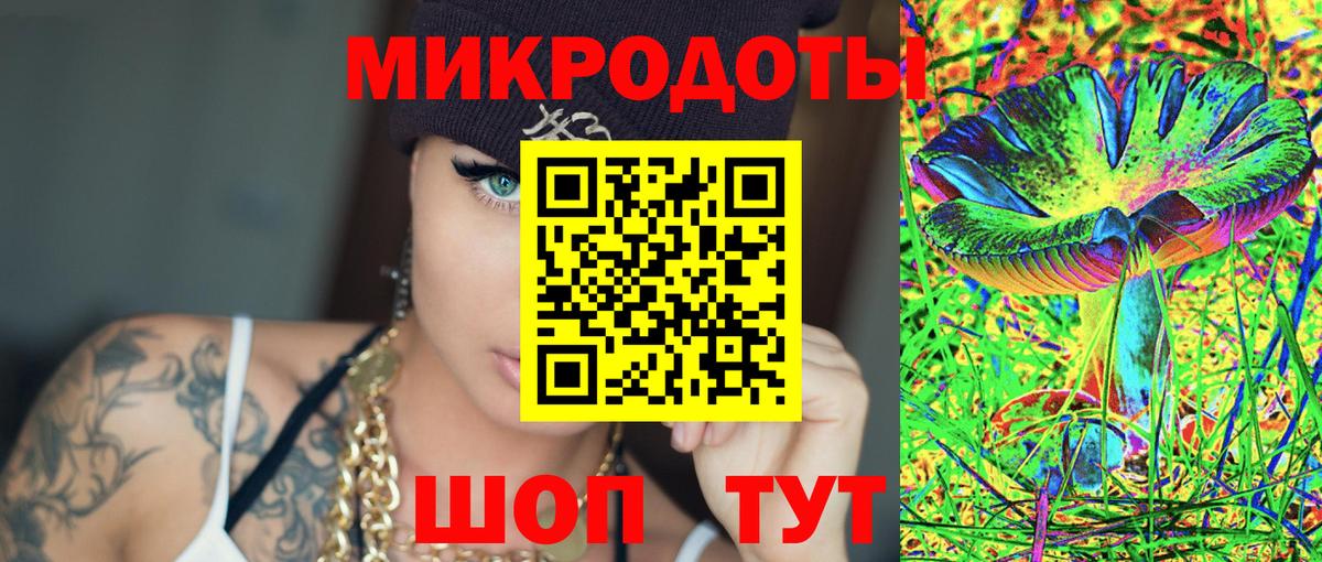 Псилоцибиновые грибы Psilocybine cubensis Кировск