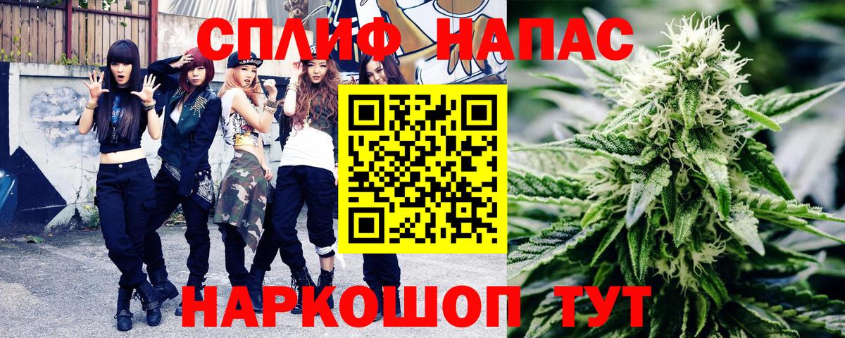 Канабис сатива Кировск